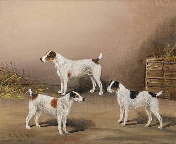 Three Terriers In A Barn Oil Painting by Frederick, Fred French