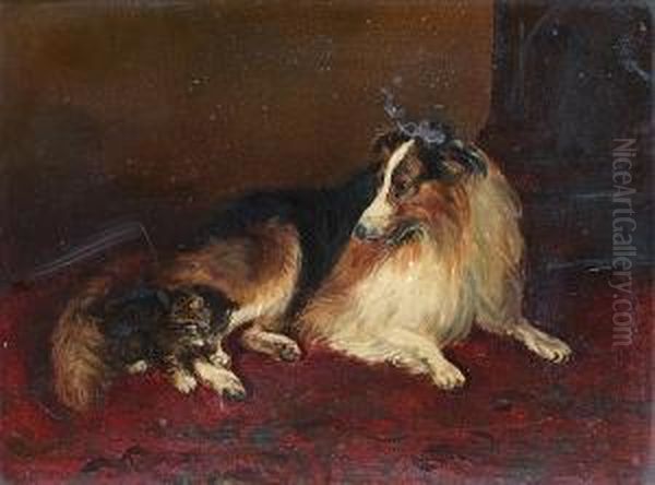 A Kitten Playing With A Collie Oil Painting by Frederick, Fred French