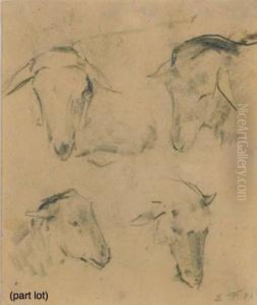 Study Of Sheep Heads Oil Painting by Emile Friant