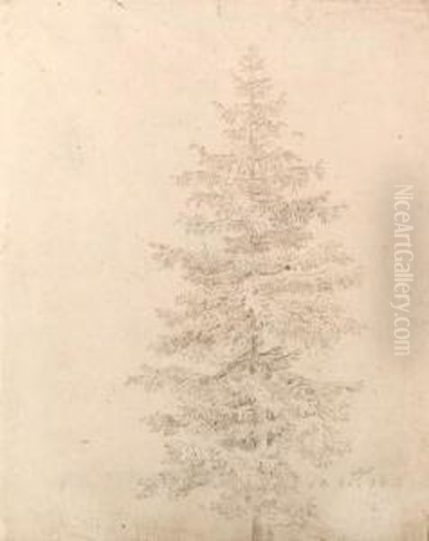 Fichtenbaum (recto); And Wldchen (verso) Oil Painting by Caspar David Friedrich