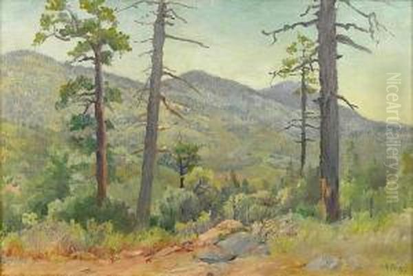 Cuyamaca Mountains, Gilman Point Oil Painting by Charles Arthur Fries