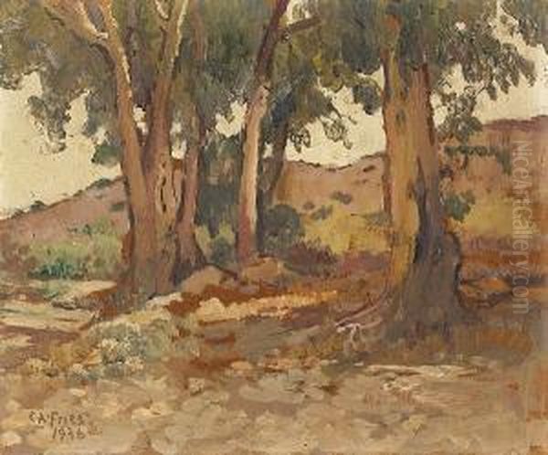 Eucalyptus In North Cholla Valley Oil Painting by Charles Arthur Fries