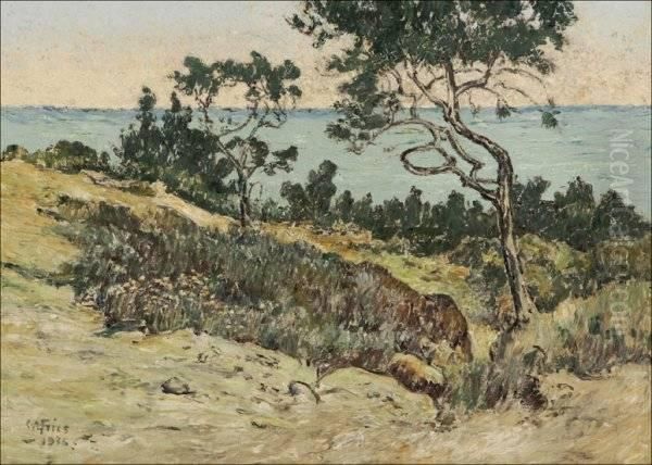 Torrey Pines Oil Painting by Charles Arthur Fries