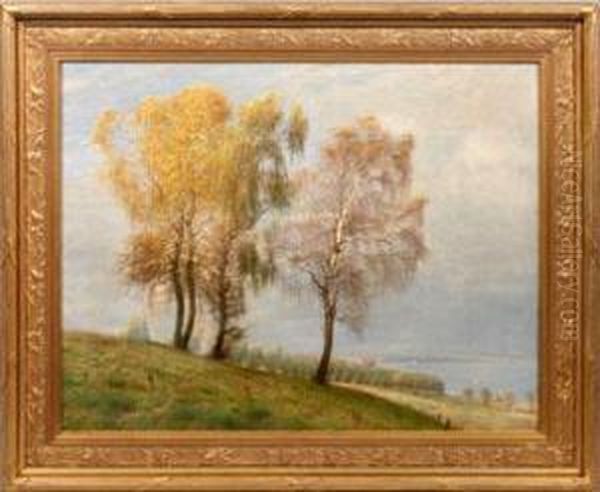 Grose Spatsommerlandschaft Mit Birken Vor Einer Danischen Bucht Oil Painting by Andreas Fritz