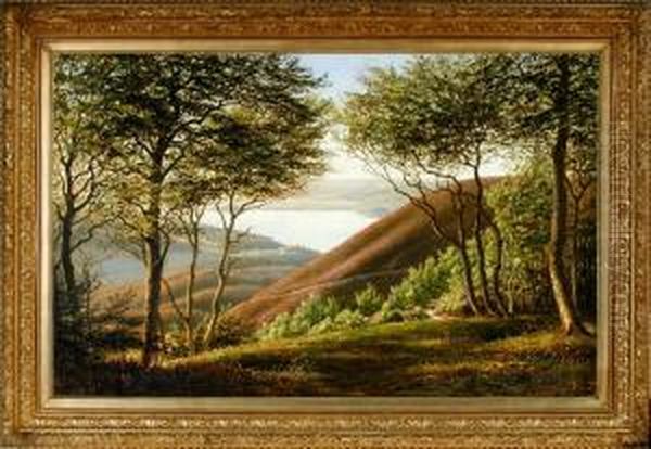 Landscape Near Silkeborg Town, Jutland Oil Painting by Andreas Fritz