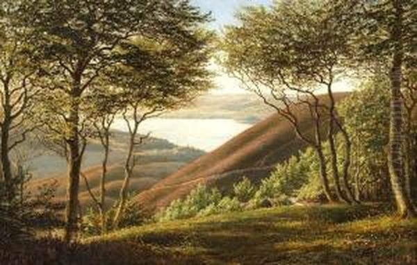 Landscape Near Silkeborg, Jutland Oil Painting by Andreas Fritz