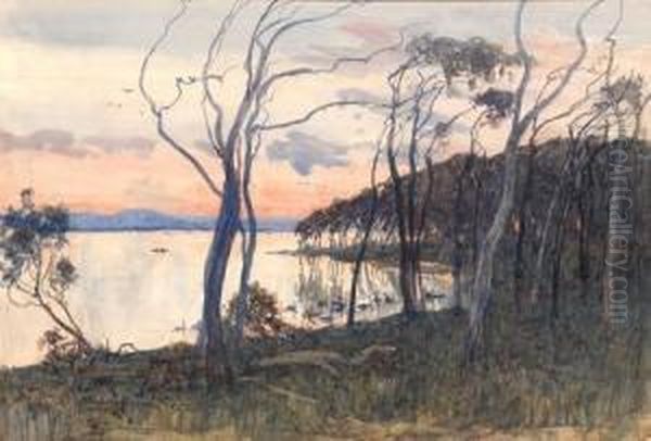 Tuggerah Lakes At Sunset Oil Painting by Albert Henry Fullwood