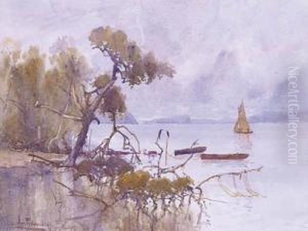 Pittwater Looking Towards Lion Island, New South Wales Oil Painting by Albert Henry Fullwood