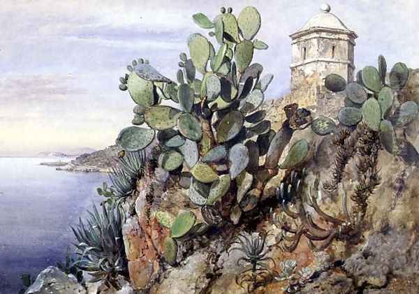 Cactus Opuntia, Monaco, 1845 Oil Painting by Edward William Cooke