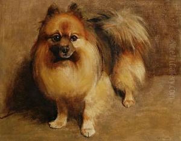 Portrait Of A Pomeranian Oil Painting by Samuel Fulton