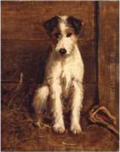 Portrait Of A Dog Oil Painting by Samuel Fulton