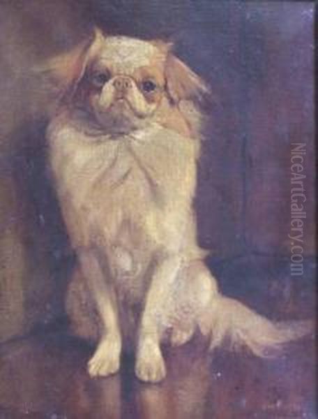 Study Of A Cavalier King Charlesspaniel Oil Painting by Samuel Fulton