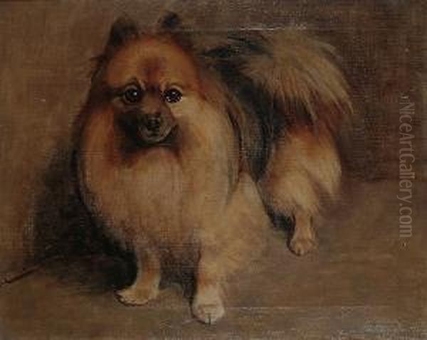 Chips, A Pomeranian. Oil Painting by Samuel Fulton