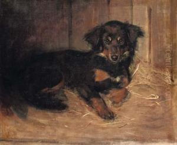 Collie Oil Painting by Samuel Fulton