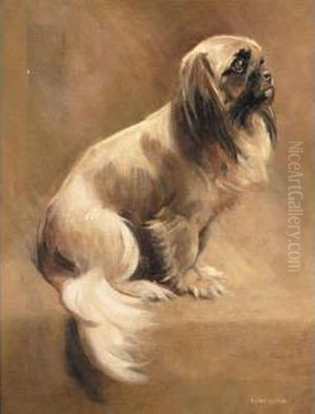 Pekinese Oil Painting by Samuel Fulton