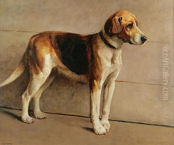 Portrait Of A Beagle Oil Painting by Samuel Fulton