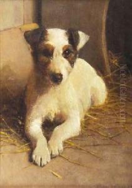 Study Of A Terrier Oil Painting by Samuel Fulton