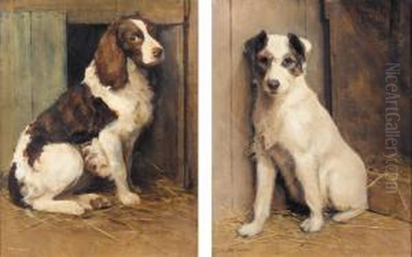 A Jack Russell; A Springer Spaniel Oil Painting by Samuel Fulton