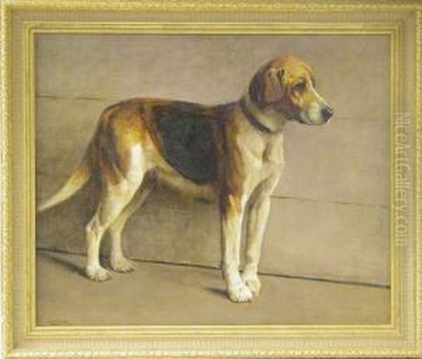 Standing Beagle Oil Painting by Samuel Fulton