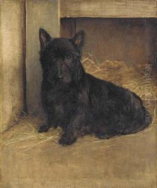 A Scottish Terrier Oil Painting by Samuel Fulton