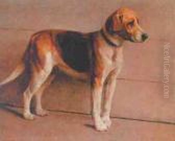 Foxhound Oil Painting by Samuel Fulton