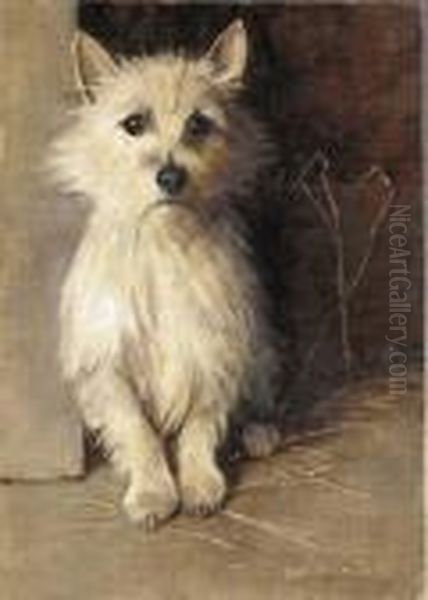 A West Highland Terrier Oil Painting by Samuel Fulton