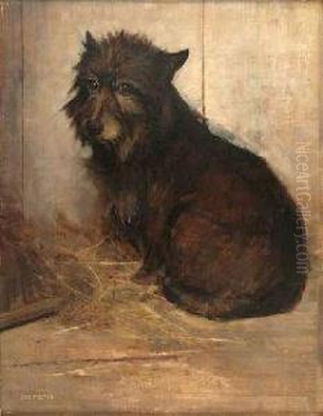 Study Of A Scots Terrier Oil Painting by Samuel Fulton