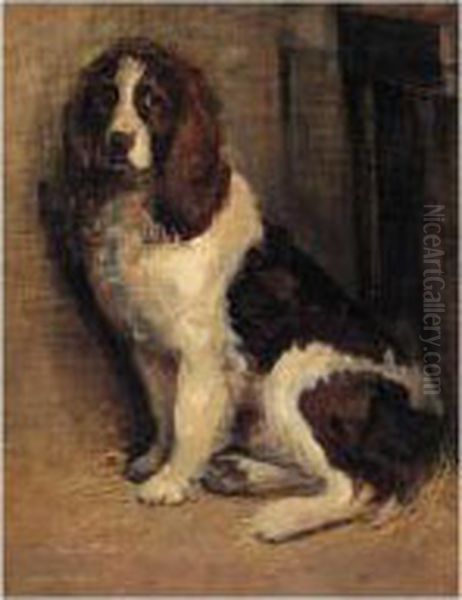 A Study Of A Spaniel Oil Painting by Samuel Fulton