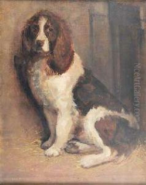 Study Of A Liver And White Spaniel Oil Painting by Samuel Fulton