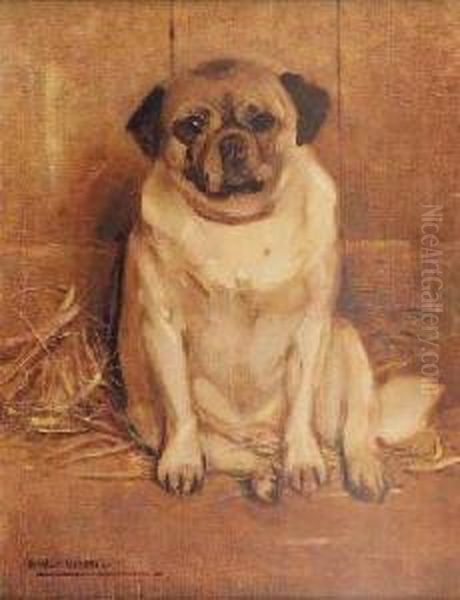 Study Of A Pug Oil Painting by Samuel Fulton