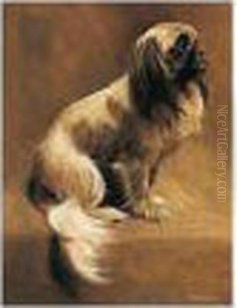 Pekinese Oil Painting by Samuel Fulton