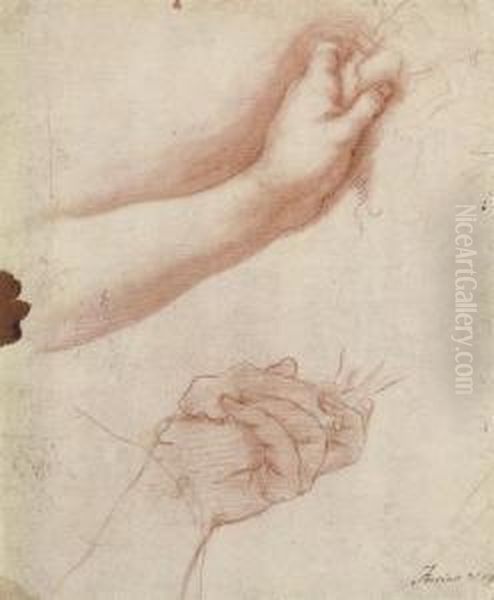 Study Of A Woman's Hands Oil Painting by Francesco Furini