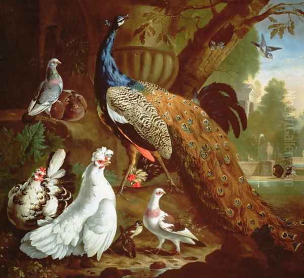 A Peacock in a Classical Landscape, 1719 Oil Painting by Pieter Casteels