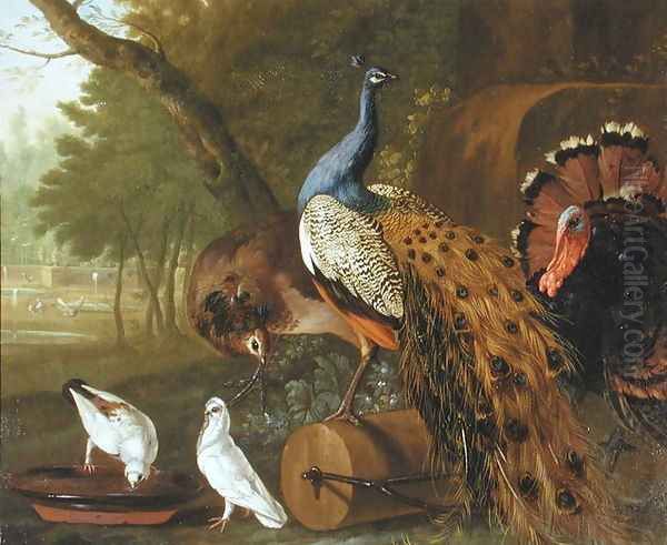 An Assembly of Birds in a Classical Park, 1719 Oil Painting by Pieter Casteels