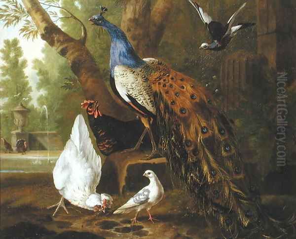 An Assembly of Birds in a Classical Park, 1719 2 Oil Painting by Pieter Casteels