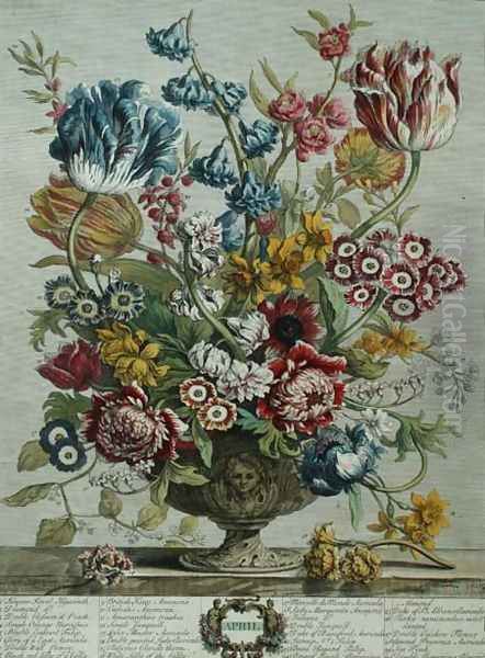 April, from 'Twelve Months of Flowers', by Robert Furber (c.1674-1756) Oil Painting by Pieter Casteels