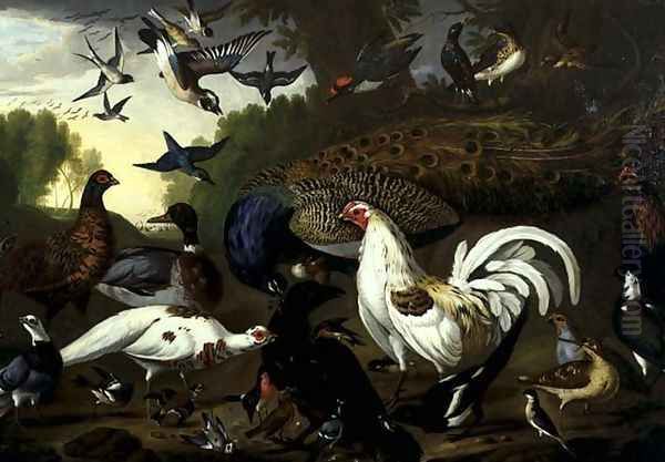 The Fable of the Raven with a Peacock, Cockerel, Woodpecker, Jay, Woodcock, and Magpie Oil Painting by Pieter Casteels