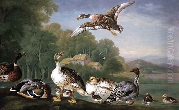 Wild Fowl Oil Painting by Pieter Casteels