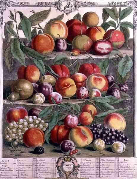 August, from 'Twelve Months of Fruits' Oil Painting by Pieter Casteels