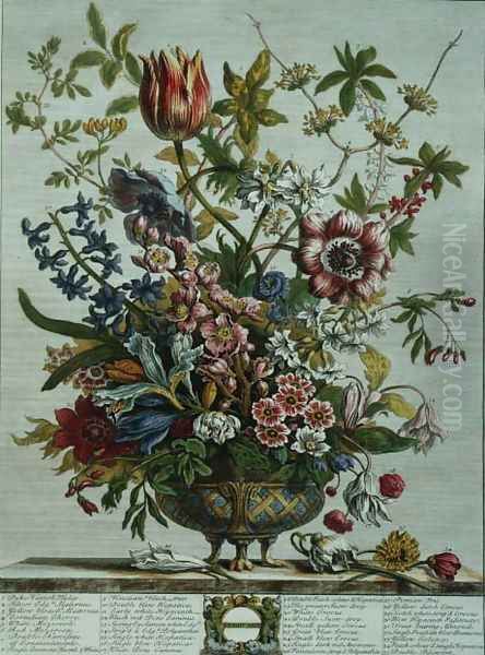 February, from `Twelve Months of Flowers Oil Painting by Pieter Casteels