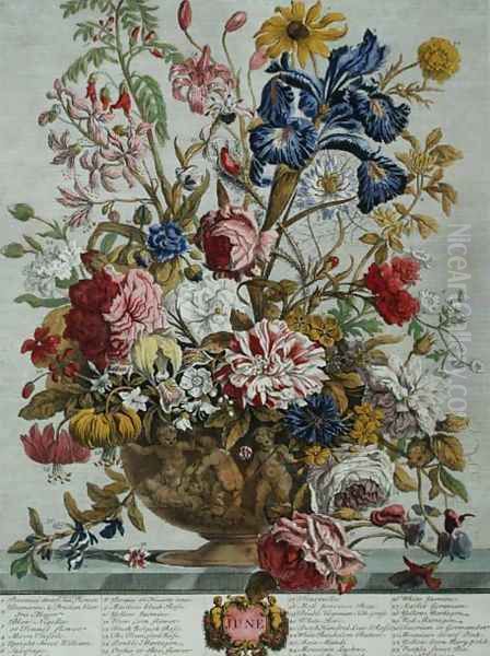 June, from 'Twelve Months of Flowers' Oil Painting by Pieter Casteels