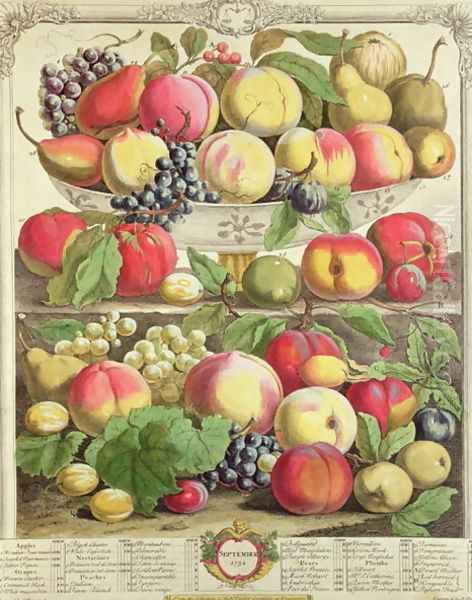 September, from 'Twelve Months of Fruits' Oil Painting by Pieter Casteels