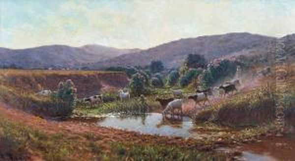 Le Monteydough Et La Vallee Du Ruisseau D'or, Environs De Bone Oil Painting by Antoine Gadan