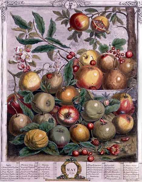 May, from 'Twelve Months of Fruits' Oil Painting by Pieter Casteels