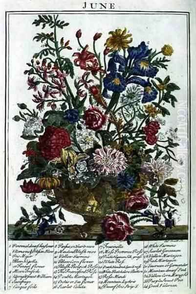 June, from 'The Flower Garden Displayed' Oil Painting by Pieter Casteels