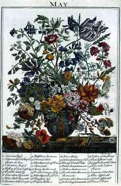 May, from 'The Flower Garden Displayed' Oil Painting by Pieter Casteels