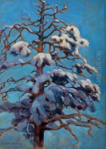 Snowy Pine-tree Oil Painting by Akseli Gallen-Kallela