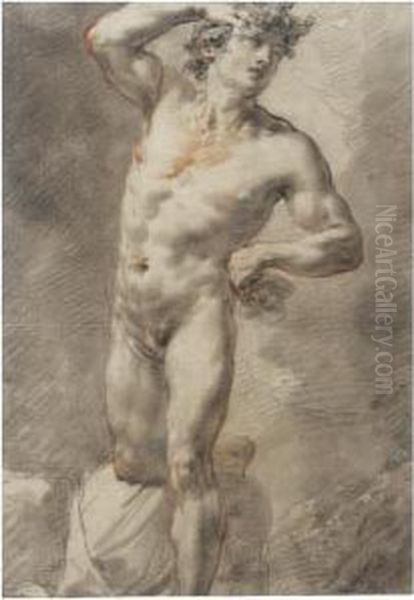 A Youthful Male Nude, One Hand On His Hair Oil Painting by Mauro Gandolfi