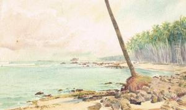 Coastal Scene, Ceylon (sri Lanka) Oil Painting by Henry George Gandy