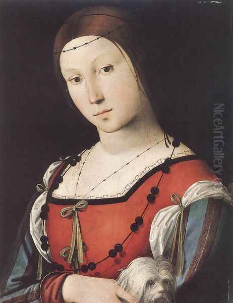 Portrait of a Lady with a Lap-dog c. 1500 Oil Painting by Lorenzo Costa